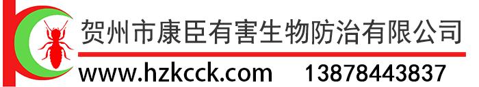 青島展覽工廠(chǎng)-青島中藝展示工程公司
